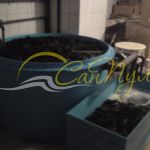 Полипропиленовая емкость для океанариума Полипропиленовая емкость для океанариума