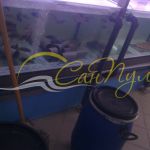 Отсек для рыбы Отсек для рыбы купить