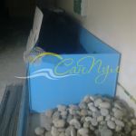 Прямоугольная емкость для рыбы Прямоугольная емкость для рыбы