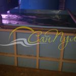 Полипропиленовая емкость для рыбы Полипропиленовая емкость для рыбы